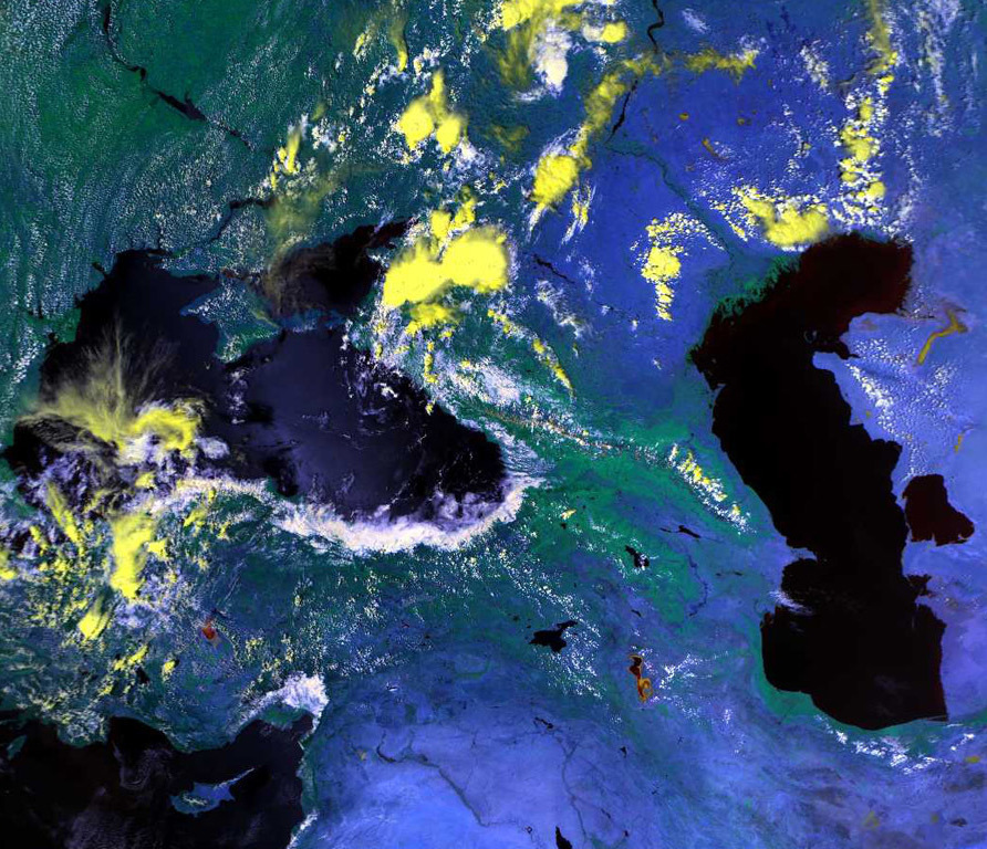 Image alt